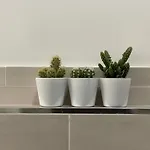 Alle 4 Stagioni - 2 Apartment *