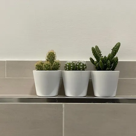 Alle 4 Stagioni - 2 Apartment *